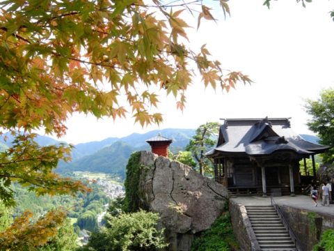 山寺　経堂　モミジ