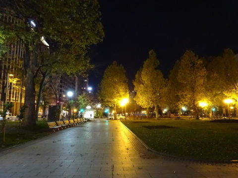 夜の大通り公園　札幌