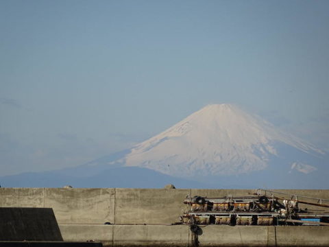 内房保田ばんやから見た富士山