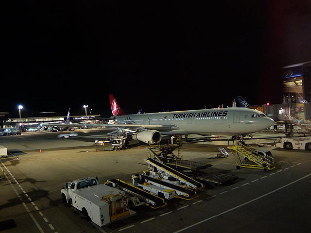 ターキッシュエアラインズ夜便でイスタンブール トルコの夏休み1 腹黒薔薇耳旅団