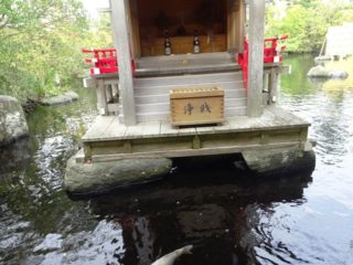 八扇の湯の神社の賽銭箱は遠い