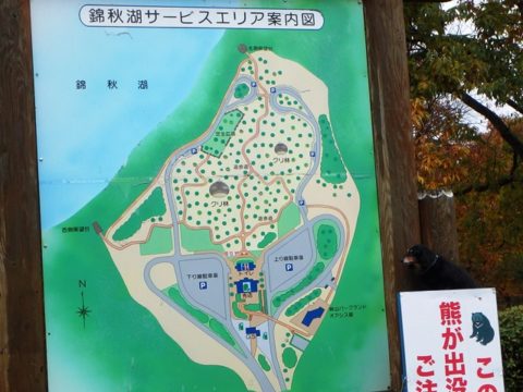 錦秋湖サービスエリア案内図とダックスフント熊に注意