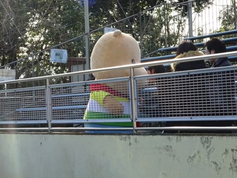 東武動物公園カバ舎の前で撮影しているカバくん