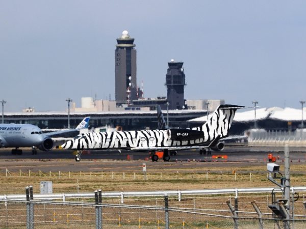 成田空港でみたシマウマ柄のガルフストリームVP-CAX