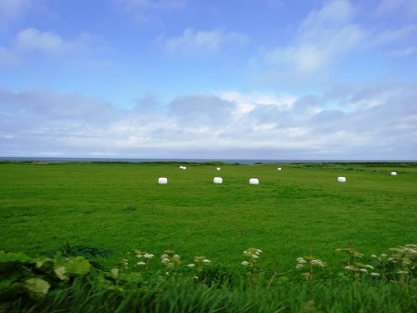 北海道道道106号稚内天塩線キャンピングカー車内から撮影した風景