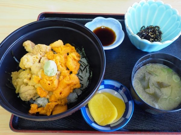 利尻島鴛泊の磯焼亭の二色うに丼、エゾバフンウニ