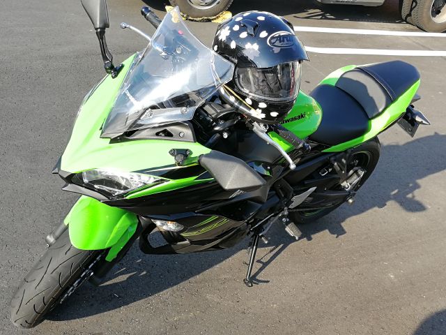 道の駅でやらかす 涙 新車のninja650で立ちゴケ 腹黒薔薇耳旅団