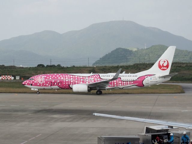 日本トランスオーシャン航空のジンベイジェット（ピンク）石垣空港