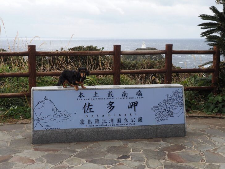 本土最南端佐田岬で記念撮影するダックスフンド