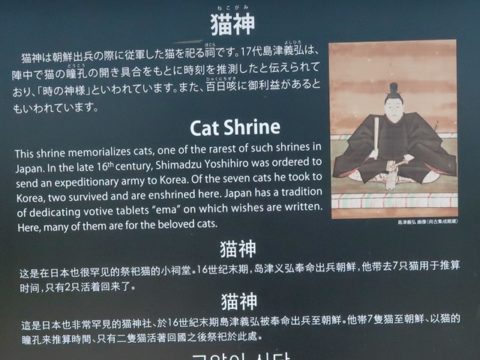 仙厳園猫神の由来を記した看板