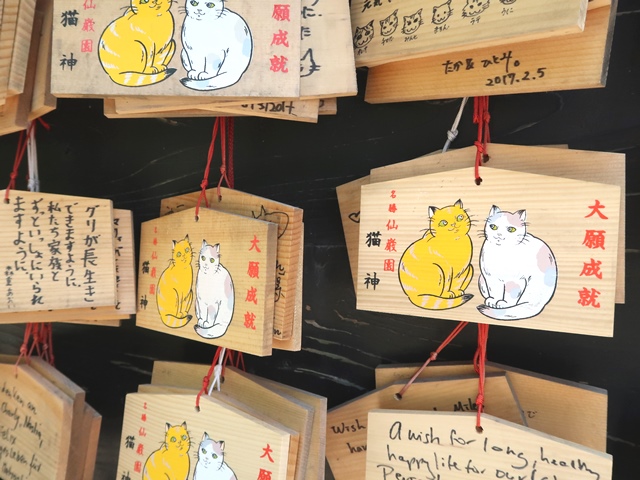 猫神神社を訪問 犬が西向きゃ尾は猫じゃらし 猫神神社を訪問 犬が西向きゃ尾は猫じゃらし
