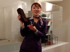 サントリー白州蒸留所ガイド