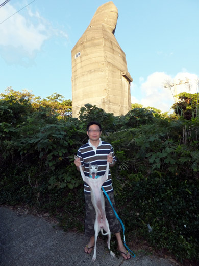 八丈島の謎の遺跡の前に現れたグレイ宇宙人(ウィペット)