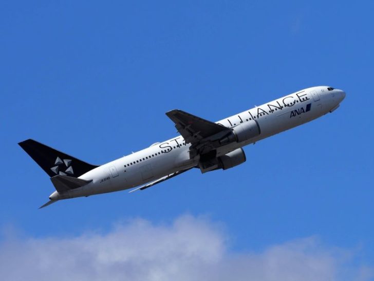 ANAB767スターアライアンス塗装